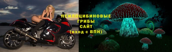 твердый Покачи
