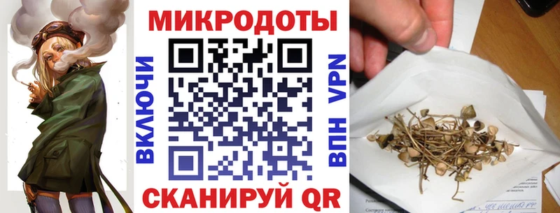 Псилоцибиновые грибы мицелий  Моршанск 