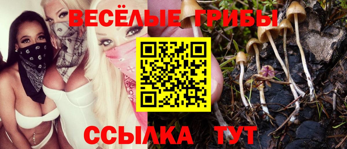 где можно купить   Галлюциногенные грибы Psilocybine cubensis  Вход с VPN  Псилоцибиновые грибы мухоморы  Моршанск 